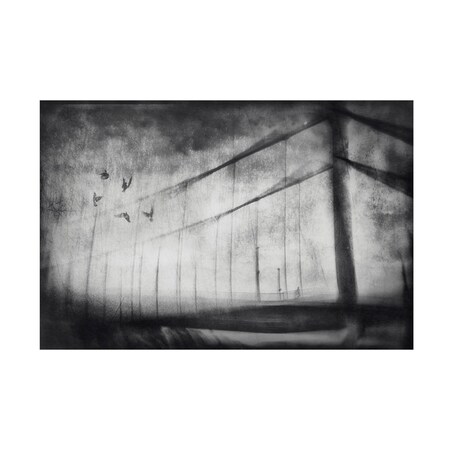 Trademark Fine Art
